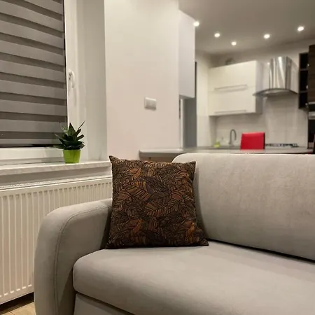 Misvest Tomasz Klimatyzacja Apartment *